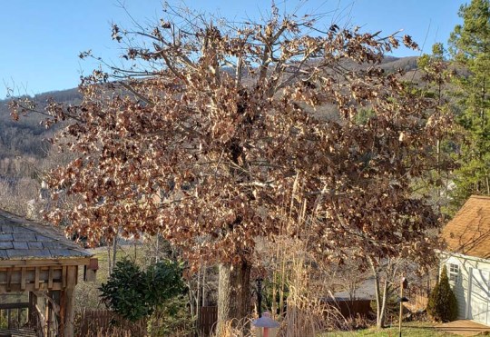 20191230_160955 cr.jpg