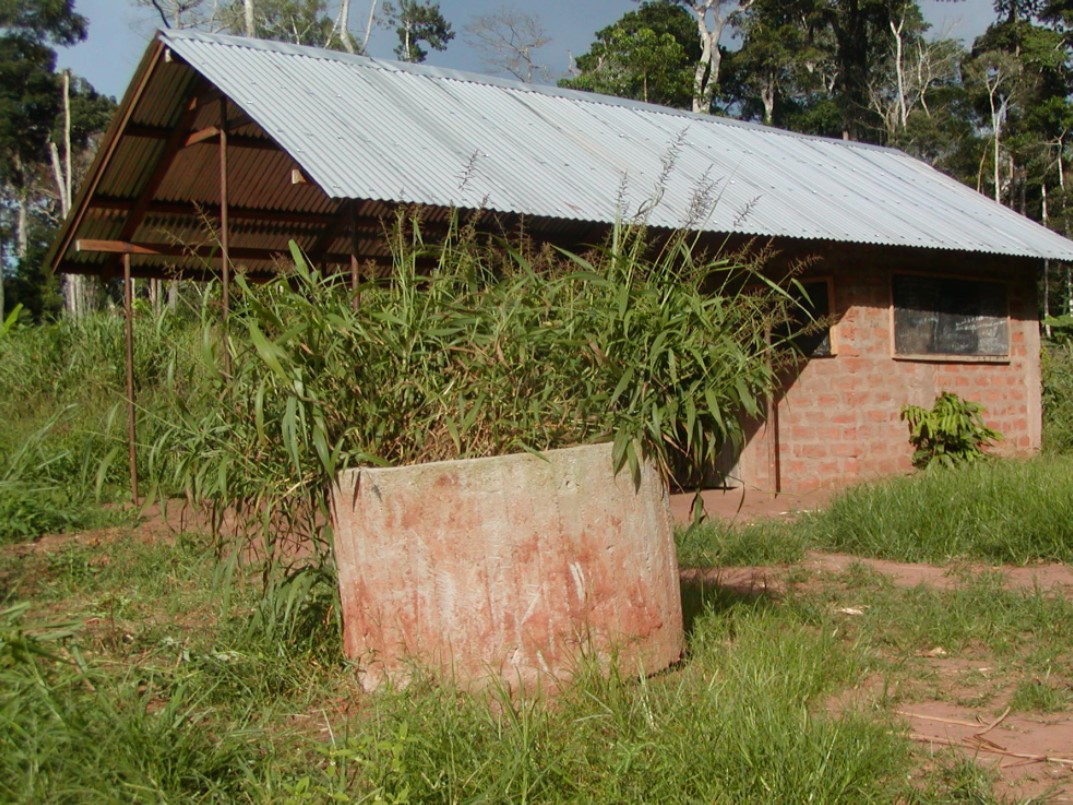 Moale Outhouse 2.jpg
