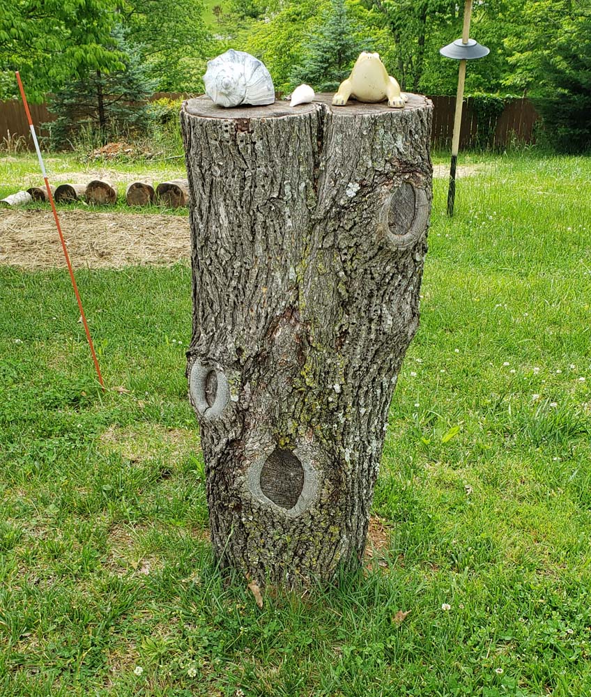 Tree butt ec 5-20