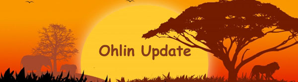 Adventures in Suburbia