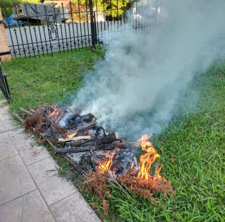 Slash &amp; Burn Lawn ecr